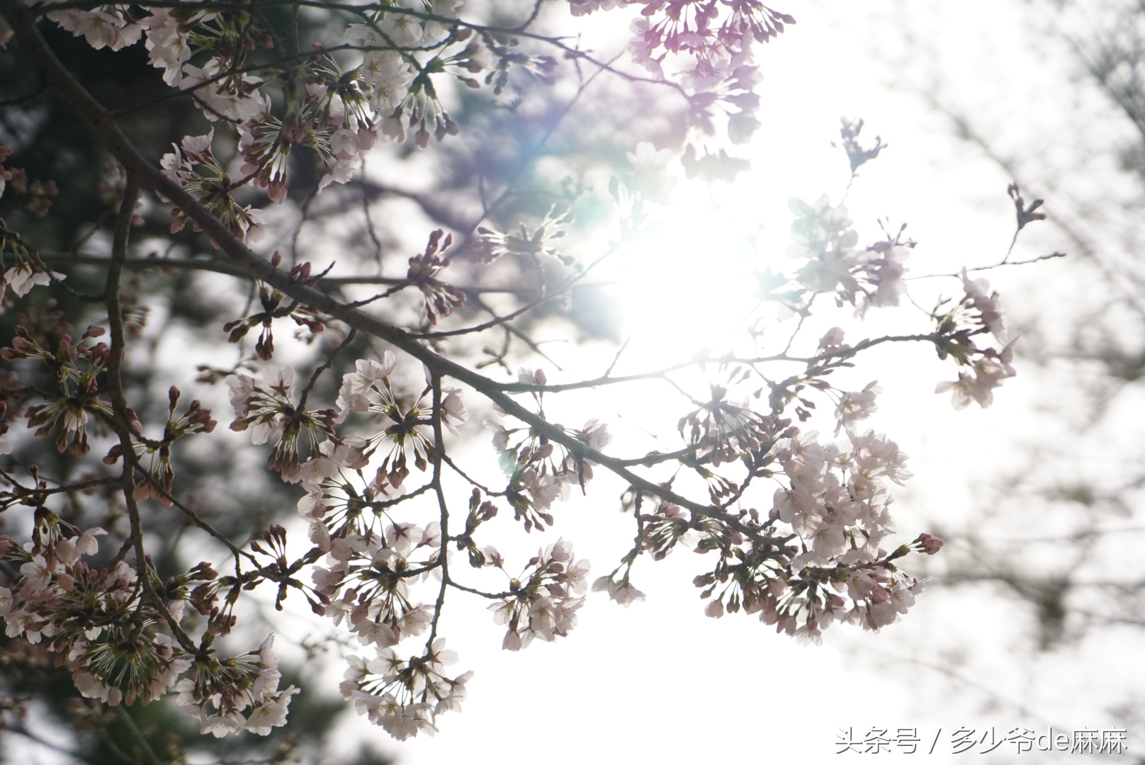 孩子生病家长要怎么安慰,宝妈担心宝宝生病心情很焦虑