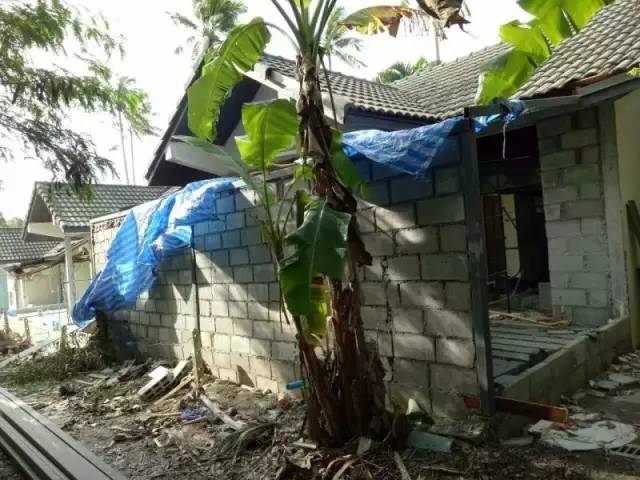 普吉岛“小包总”又火了！撞脸明星的他，用四川美食征服整个海岛