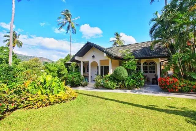 普吉岛“小包总”又火了！撞脸明星的他，用四川美食征服整个海岛