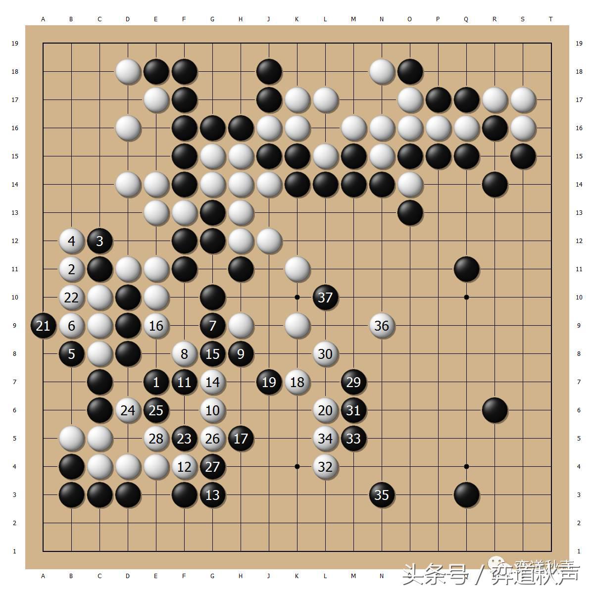 日本本因坊最终战现场视频直播,本因坊战井山裕太