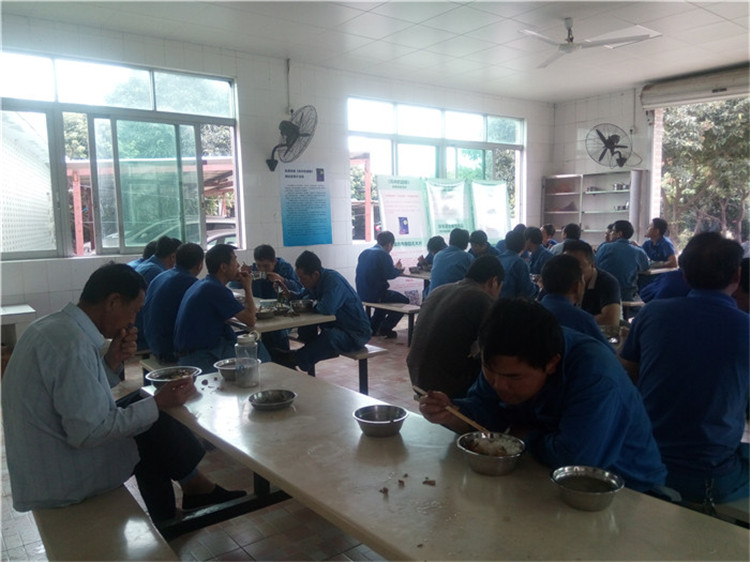 魔法森林写作,魔法森林财商课