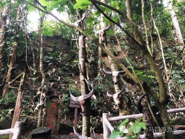 国内居然还有用人头祭祀的神秘部落！淘宝掌柜环游旅行第二十七集