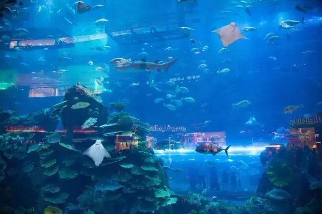 纸醉金迷的启航之路——迪拜（下）