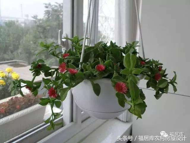 西晒的房子怎么解决晒的问题,夏天西晒严重还是南晒严重