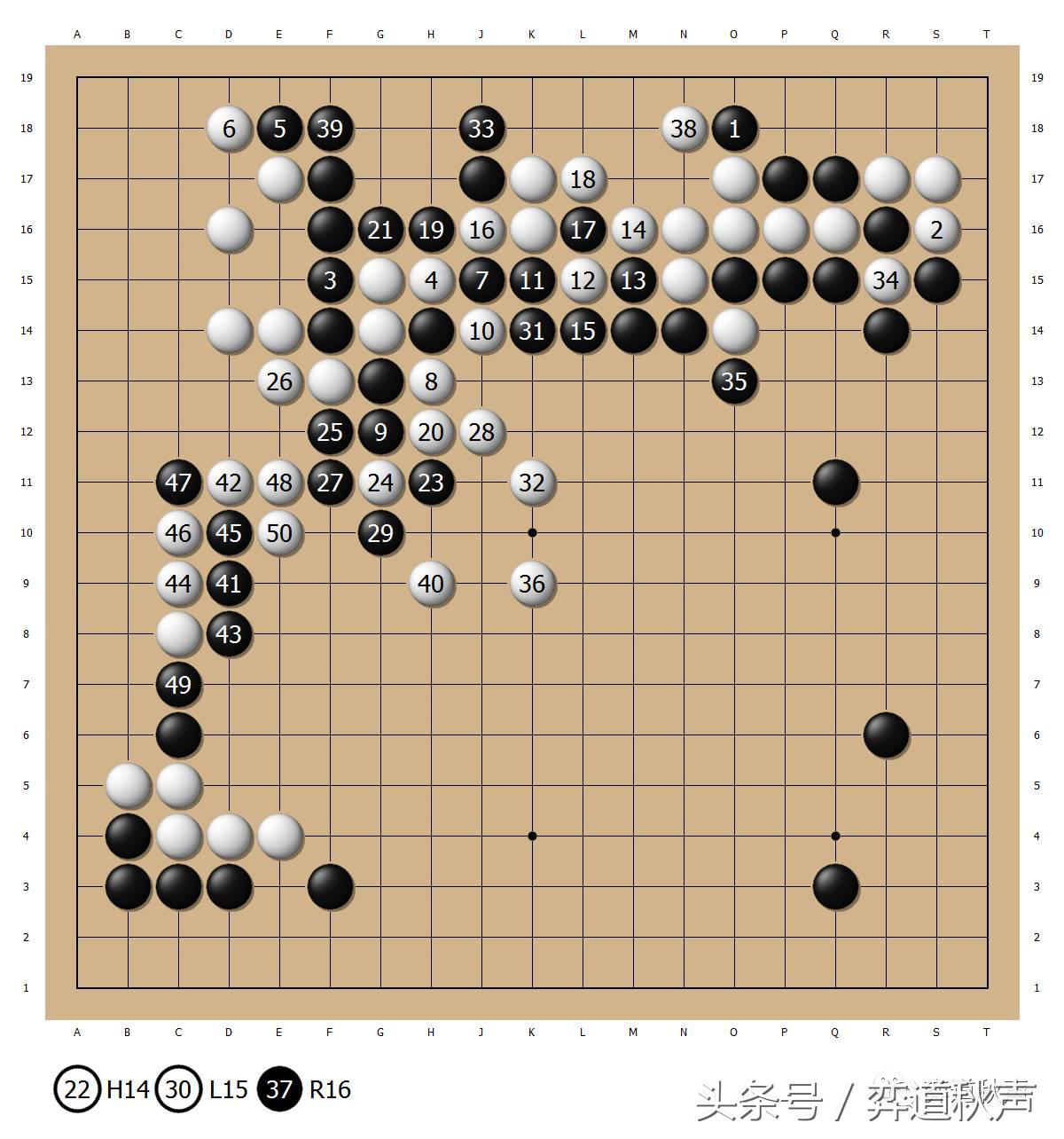 日本本因坊最终战现场视频直播,本因坊战井山裕太