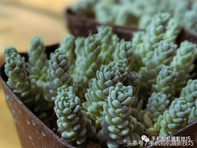 五官有硬伤的人怎么拍写真,长相一般般怎么拍照自拍