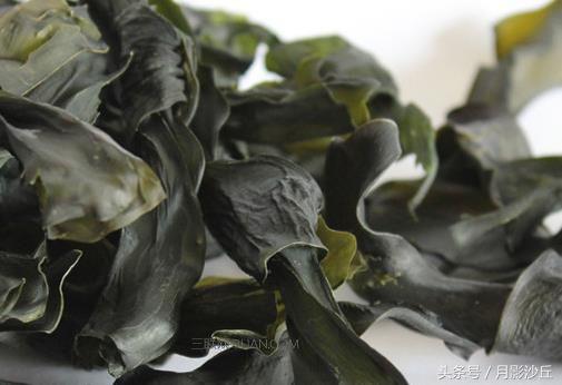 4个月泰迪自制鲜粮配比,自制狗狗海藻粉配方