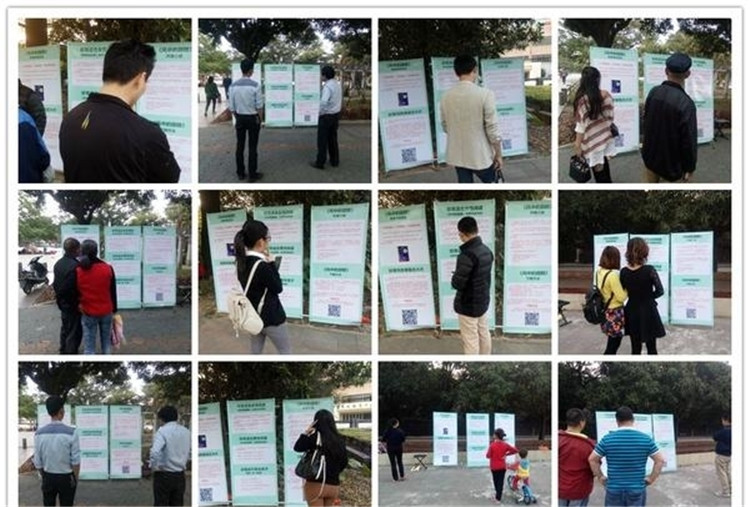 魔法森林写作,魔法森林财商课