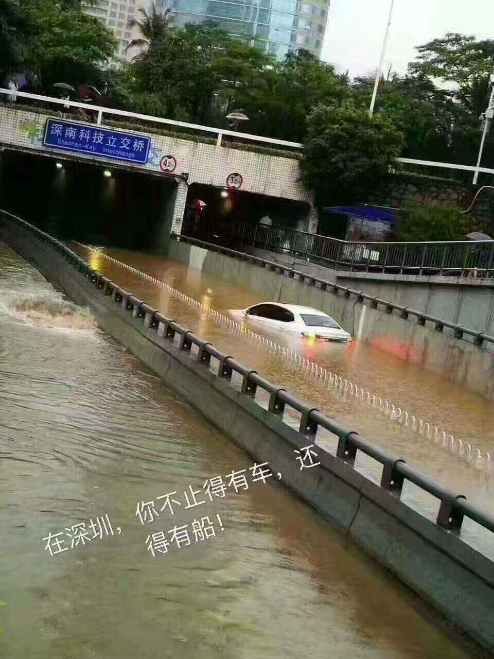 深圳“苗柏”后，如何挽救打湿受潮、浸泡发霉的家具？看这里