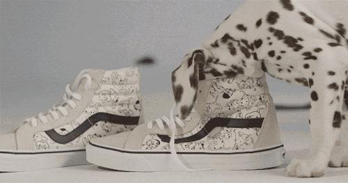 为什么权志龙不代言vans,vans权志龙同款为什么买不到