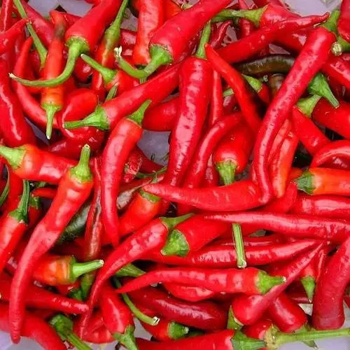 四川美食真的是太让人无法自拔了,四川很少人知道的美味