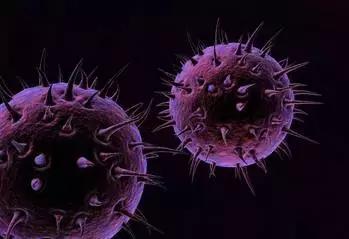 儿童治疗白血病最痛苦的阶段,儿童白血病的五大原因