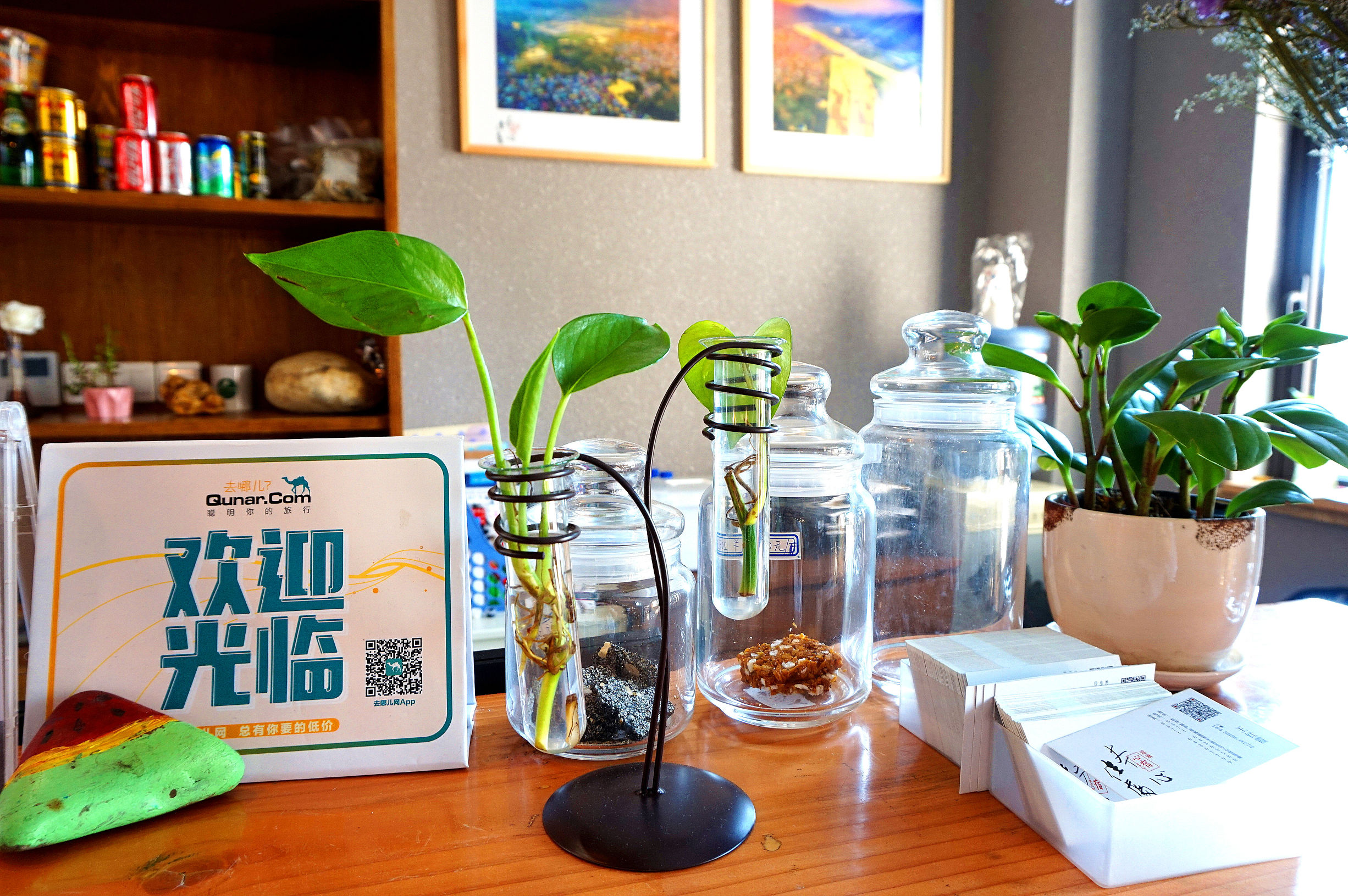 返璞归真原唱歌曲,返璞归真原唱完整版