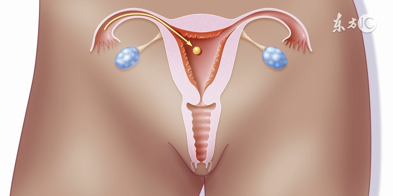 孕九周有胎心胎芽后胎停概率,孕9-10周胎停概率还大吗