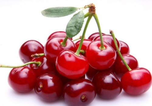 捕获迷之小屁屁一对，尝尝味道还不错