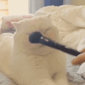 腮红推荐少女,腮红推荐平价学生少女感