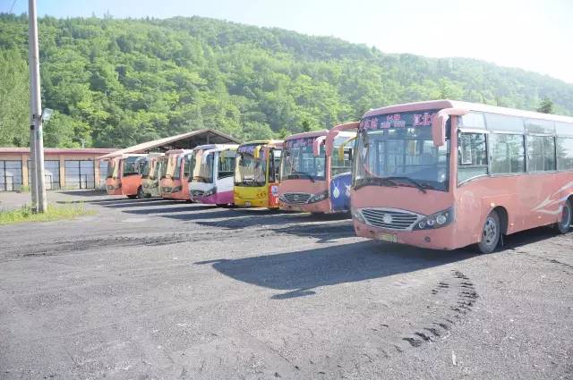 白山淘汰黄标车,交警队黄标车整治