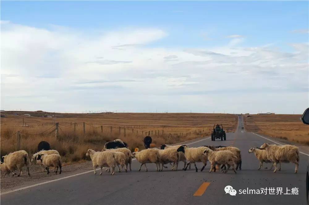 国外旅游攻略西欧,欧洲旅游西班牙出发攻略最新