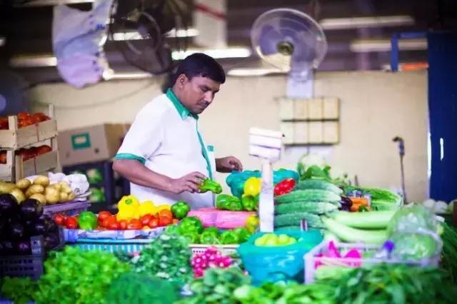 纸醉金迷的启航之路——迪拜（下）