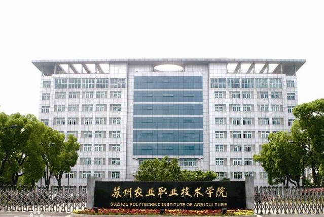 邂逅苏农,苏农视频