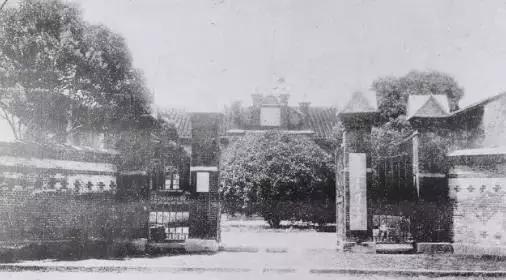 邂逅苏农,苏农视频