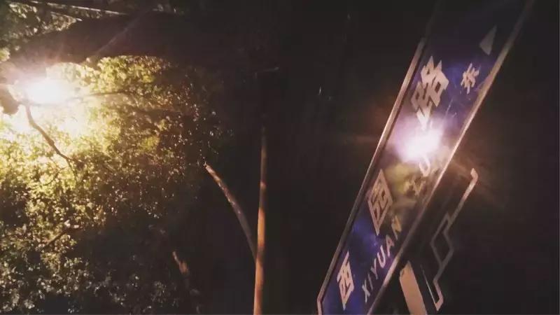 邂逅苏农,苏农视频