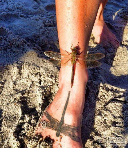 濮戝涓嶈鏀惧純浣犵殑鍔姏,濮戝涓嶈鏀惧純甯屾湜