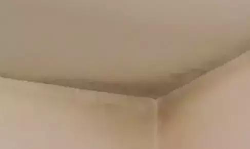 深圳“苗柏”后，如何挽救打湿受潮、浸泡发霉的家具？看这里