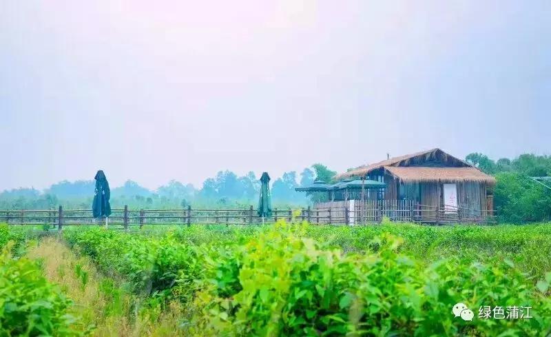 制陶、染布、品美食，6月24—25日，来成都仁和春天感受明月村的诗意生活