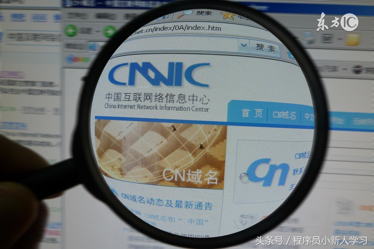 网站域名图,网站域名