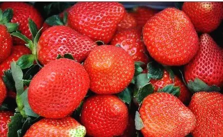 四川美食真的是太让人无法自拔了,四川很少人知道的美味