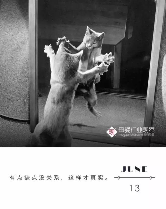 贝拉米澳洲金装收购,贝拉米澳洲奶粉最近曝光事件