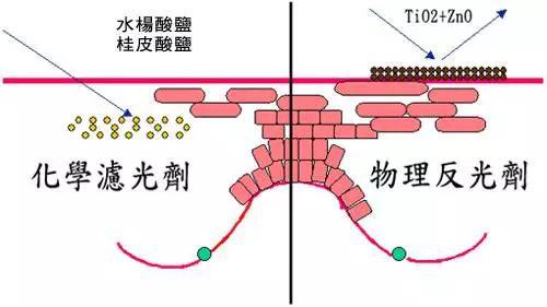 夏季宝宝防晒需谨慎，妈妈们要科学防晒