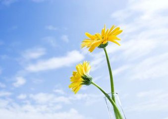 我是怎样走出抑郁,如何走出恐艾心理阴影