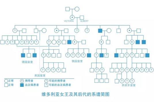有血友病遗传生孩子有什么危险,一受伤就血流不止的病叫什么
