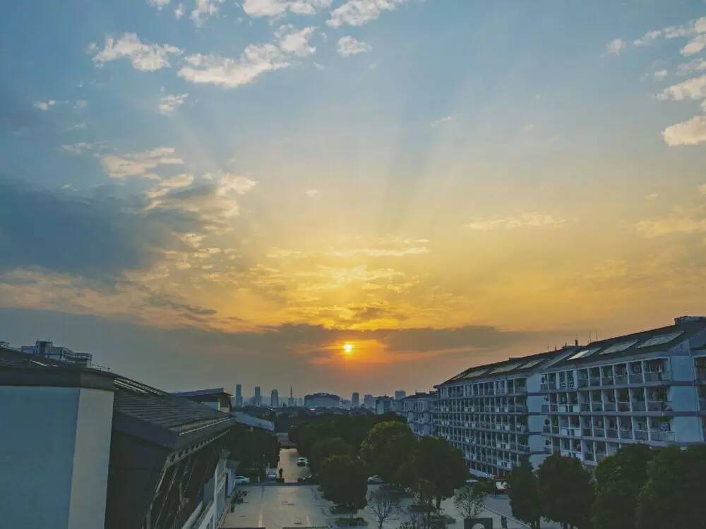 邂逅苏农,苏农视频