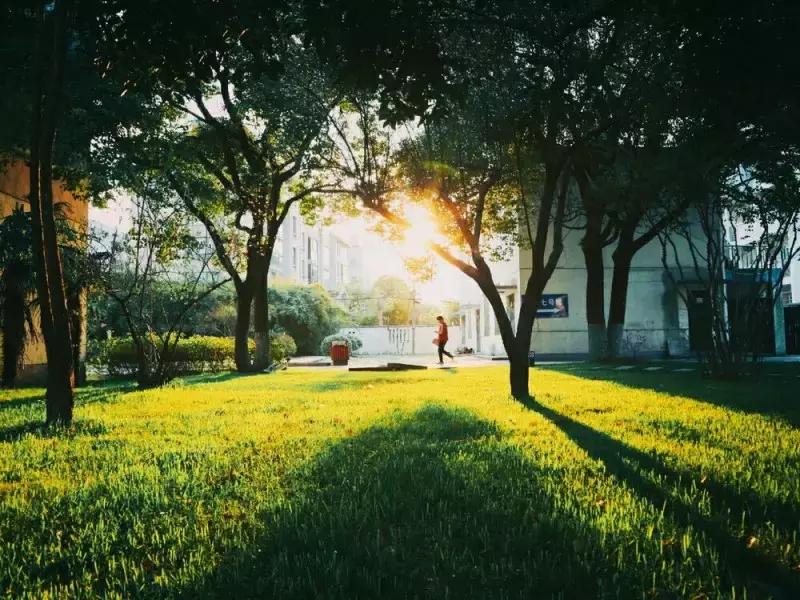 邂逅苏农,苏农视频