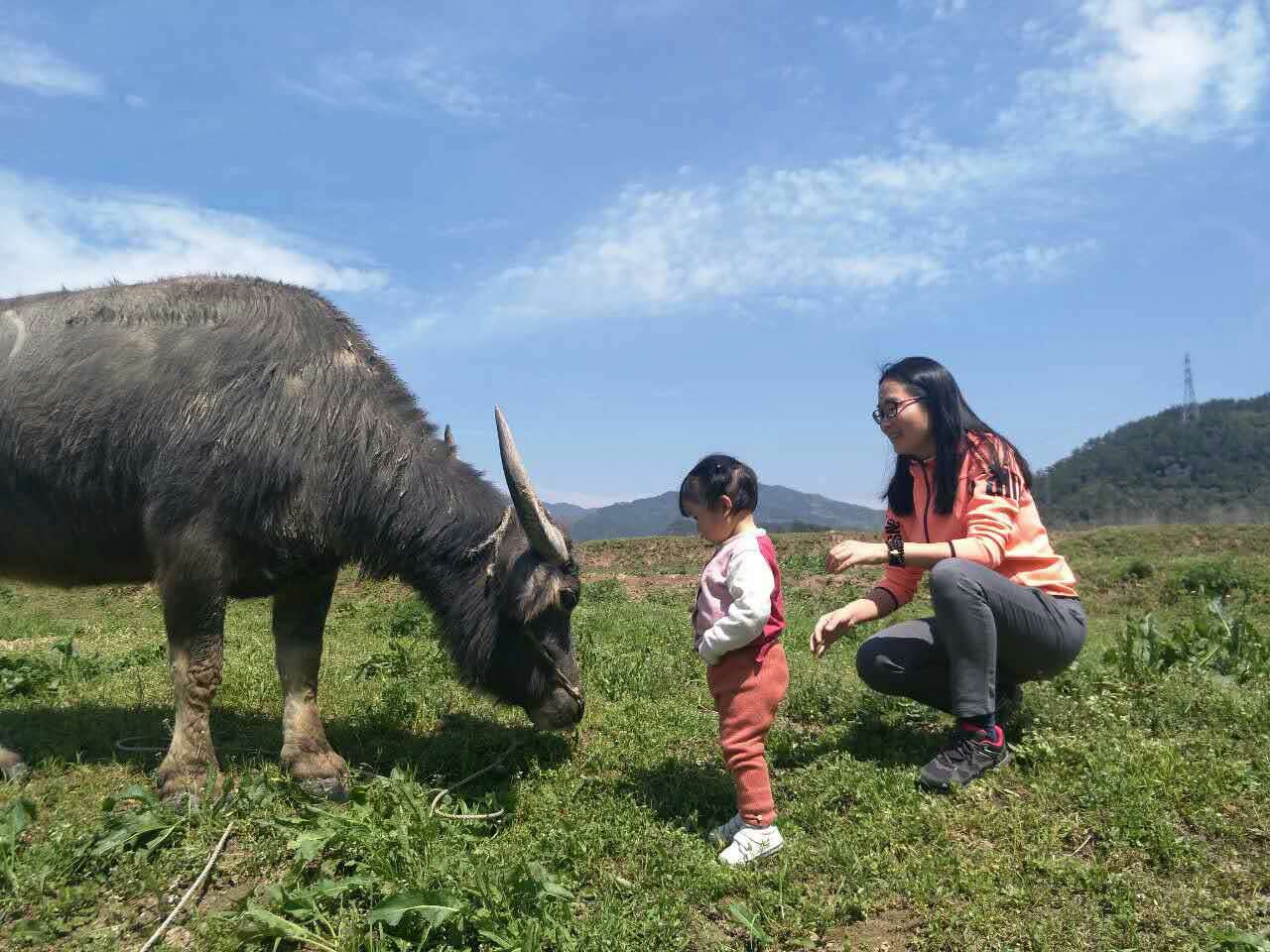 返璞归真原唱歌曲,返璞归真原唱完整版