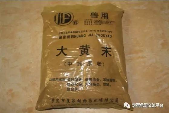 提倡中国化的活教育的教育学家是,提倡中西汇通的医学家