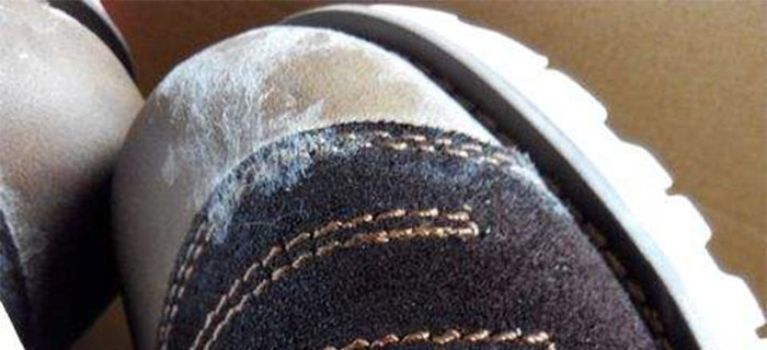 鞋子为什么会发霉,鞋子发霉是为什么