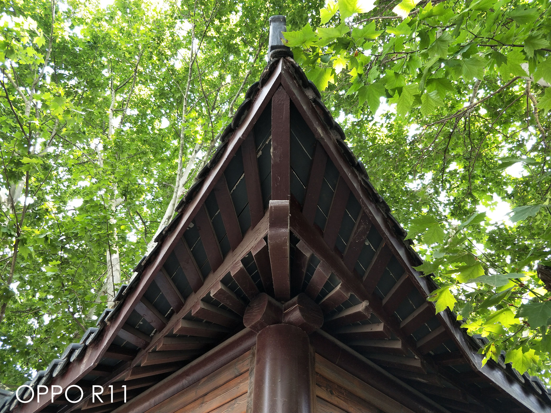 oppo手机相机怎么调拍照好看,不玩游戏拍照好的oppo手机