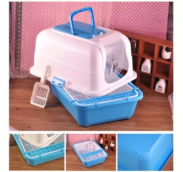 养猫家里异味怎么处理,租房养猫搬走如何消除异味