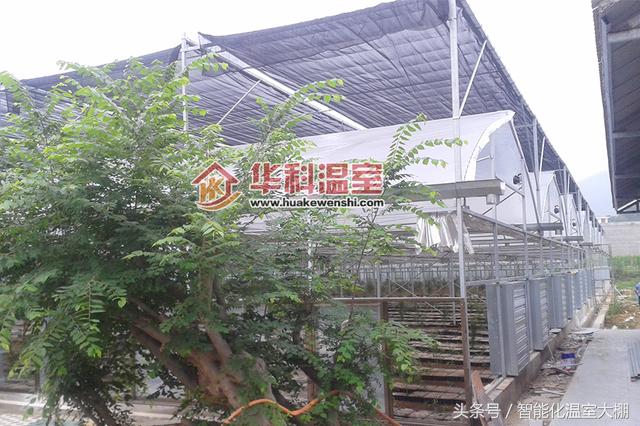 河南新型薄膜温室大棚建造,新型薄膜温室大棚报价