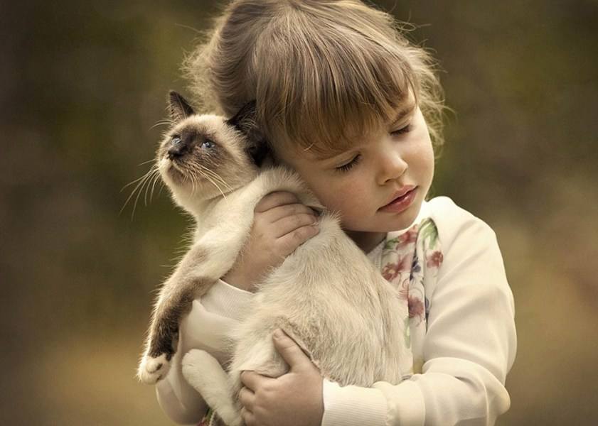 如何跟孩子沟通生死的话题,沉重的话题是什么