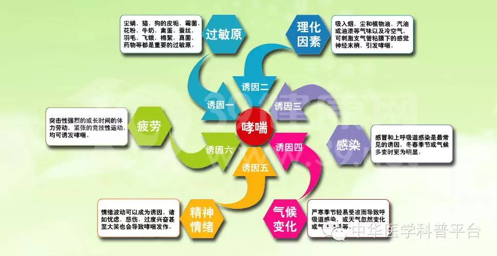 支气管哮喘的用药有哪些,哮喘每周一次连续两年的治疗