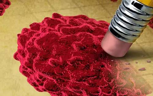 癌症经典信号通路,癌症相关信号通路