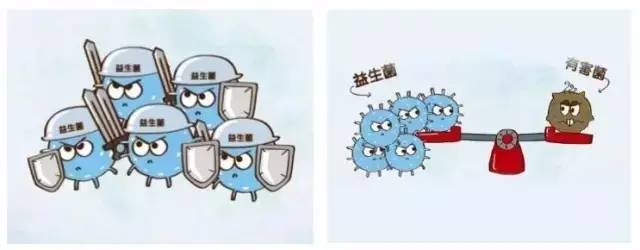 关于配方奶粉那些事儿,关于配方奶粉的那些事儿