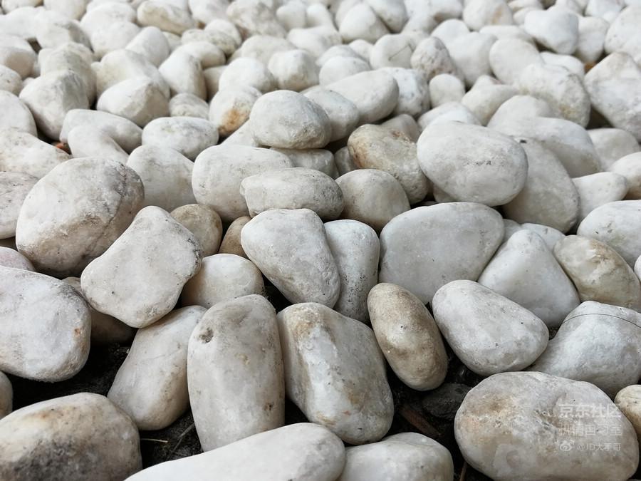 荣耀麦芒9值不值得买,荣耀平板9值不值得购买