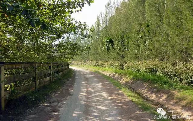 野外被蜈蚣蜇伤后应采取哪些措施,在家被蜈蚣咬最快解决方法