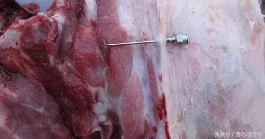 给猪打针起包怎么处理,怎样克服给猪打针的恐惧